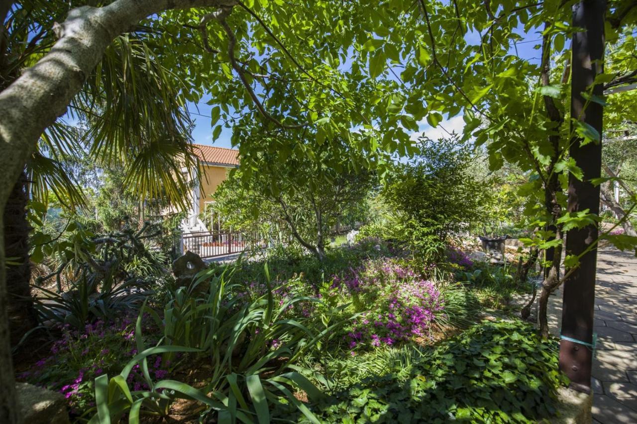 Pinezići Apartment Vili מראה חיצוני תמונה